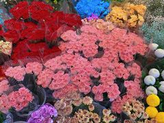 -双季花艺园艺市场(浦东店)