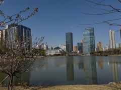 -后襄河公园