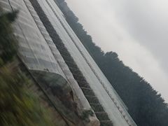 -潍坊站