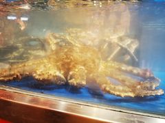 -盒马鲜生(莱蒙都会店)