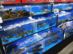 水产区-盒马鲜生(双清路店)