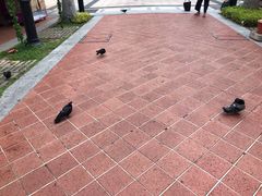 -大华猪肉粿条面