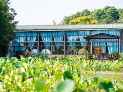 -洪湖家庭农场·团建·露营·会议