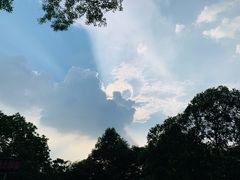 -火炉山森林公园