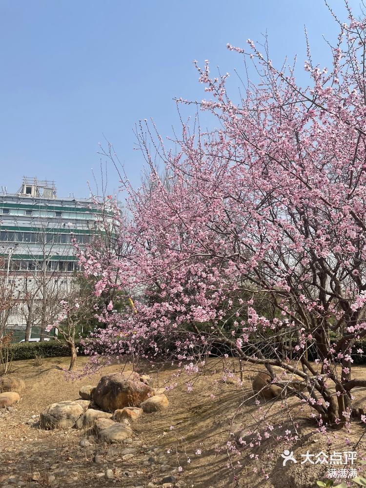 昌平中关村生命科学园图片