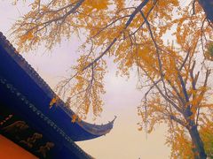 -西园戒幢律寺