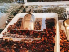 -鑫记婆婆兔·成都特产·兔头手撕兔(太古里店)