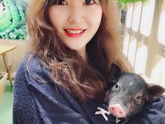 -藦茜花园宠物主题亲子互动体验馆(国顺东路店)