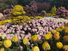 -杭州植物园