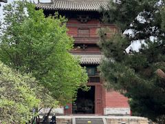 -善化寺