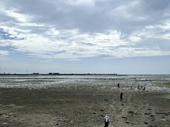 -北海金海湾红树林生态旅游区