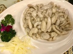 糟熘塘鱼片-新聚丰菜馆(太监弄店)