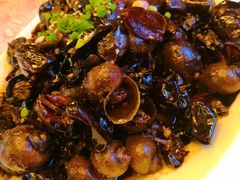 -陶然居·重庆菜(解放碑店)