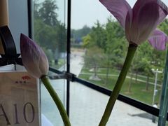 -松鹤楼·非遗·苏帮菜(融科店)