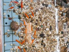 -良友·海鲜青岛菜(五四广场店)