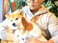 -百好乐宠物友好餐厅(朝外大街店)