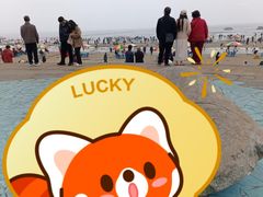 -万尾金滩