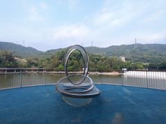 -银湖山郊野公园-相思林