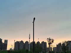 -玉滋補
