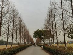 -嘉北郊野公园