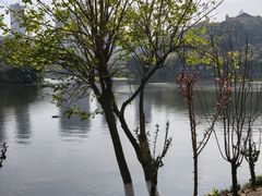 -重庆彩云湖湿地公园