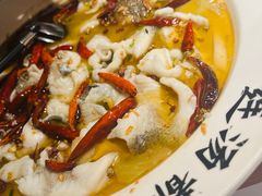 -宋小谨(惠安禹洲店)