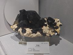 -湖南省地质博物馆