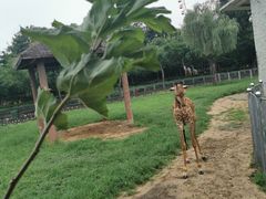 -石家庄市动物园