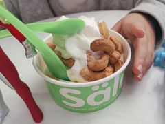 -Salud撒露欧洲冻酸奶(五道口购物中心店)