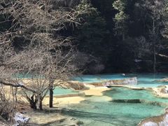 -黄龙山原始森林景区