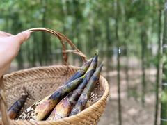 -天目湖御水温泉·度假酒店