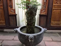 -哈哈曲艺社(西门闲亭店)