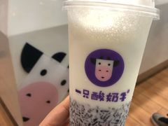 -一只酸奶牛(八一路店)