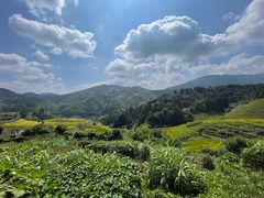 -南靖田螺坑土楼群景区