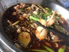 牛蛙锅-麻辣渔夫(赵辛店)