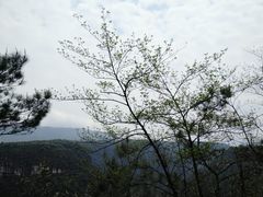-广东大峡谷