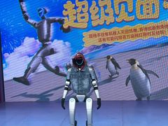 -海合安成都极地海洋公园
