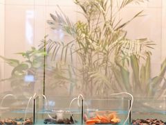 -厦门艾美酒店·新食谱西餐厅