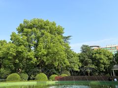 -上海花园饭店