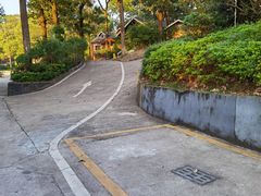 -梧桐庄园