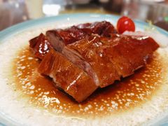 至尊烧鹅皇-喜家港式茶餐厅(三亚湾一丰禾生活广场店)