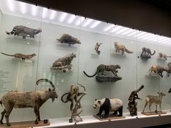 -国家自然博物馆