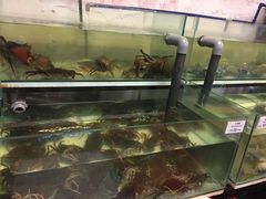 -ZF Seafood Restaurant 卓峰海鲜餐