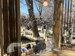 -春风习习