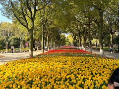 -上海鲜花港