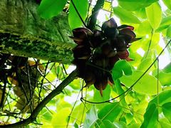 -四川大学(华西校区)