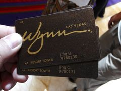 -拉斯维加斯永利酒店