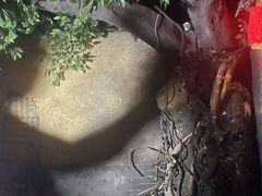 -E+有冰工厂·昆仑寒宫2(五角场店)