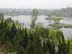 -白鹭湾湿地公园