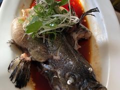 -顺峰(农展馆店)